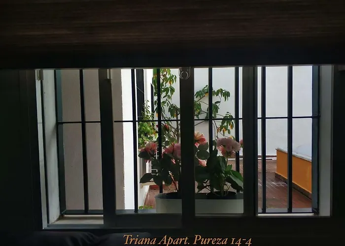 Triana Pureza 12-14