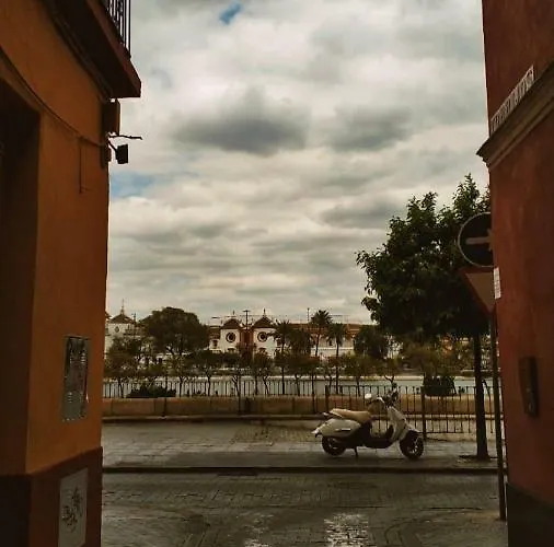 Triana Pureza 12-14 Seville